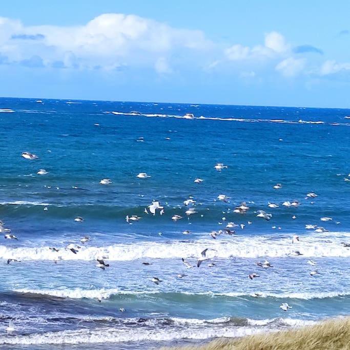 Gite Kerbourc'H Charmant Et Confortable, Mer Et Plages A 3Km, Ploudalmézeau Εξωτερικό φωτογραφία